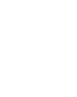 icon icon