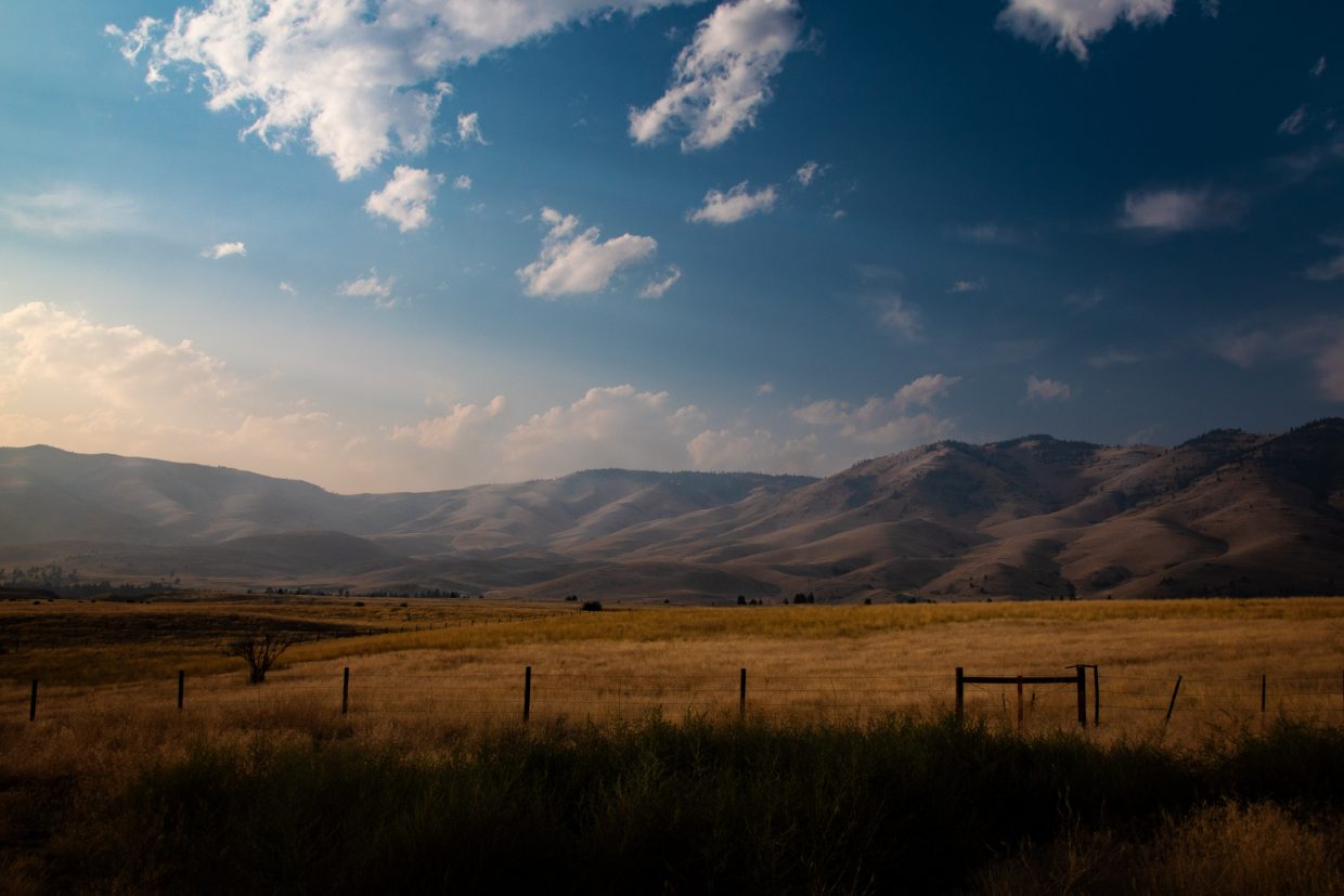 Wild Wild West